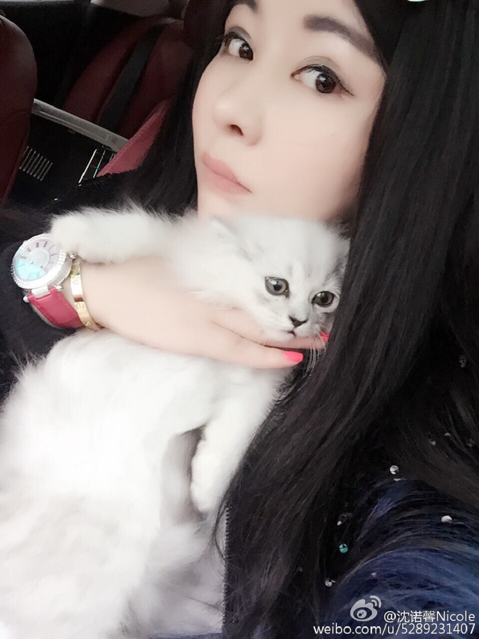 美女嫩模沈诺馨性感S曲线完美身材喷血微博海量写真225P