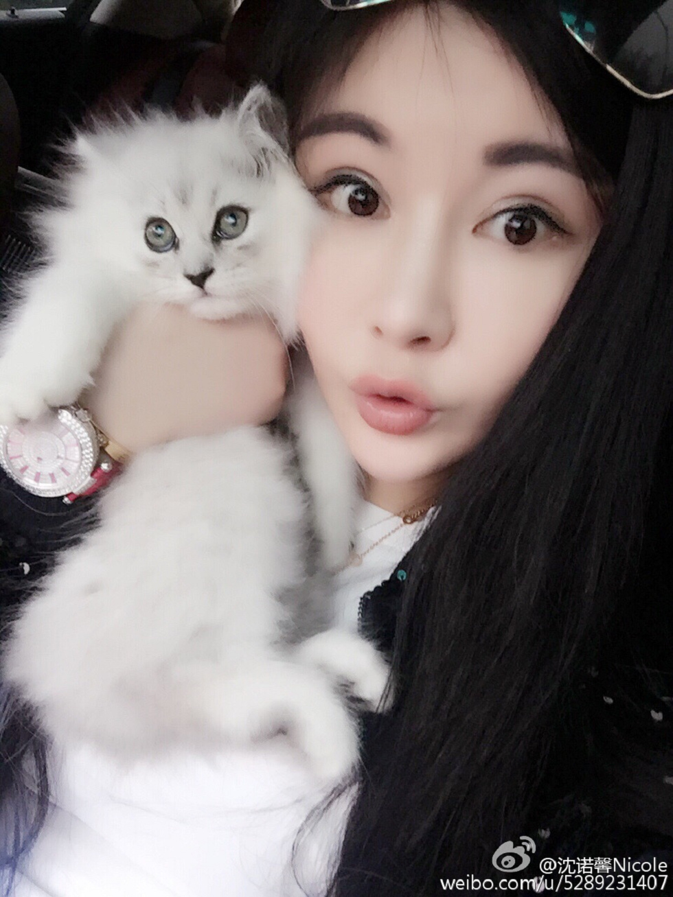 美女嫩模沈诺馨性感S曲线完美身材喷血微博海量写真225P