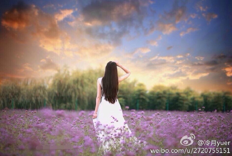 性感尤物乳神伍月yuer海量微博生活写真秀150P