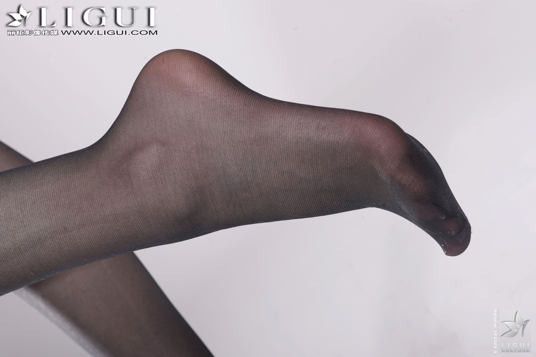 Model Vicky《豹纹黑丝的诱惑》 [丽柜LiGui] 美腿玉足写真图片