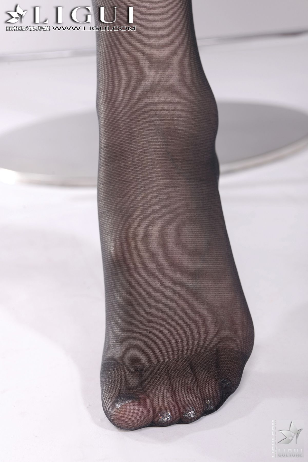 Model Vicky《豹纹黑丝的诱惑》 [丽柜LiGui] 美腿玉足写真图片