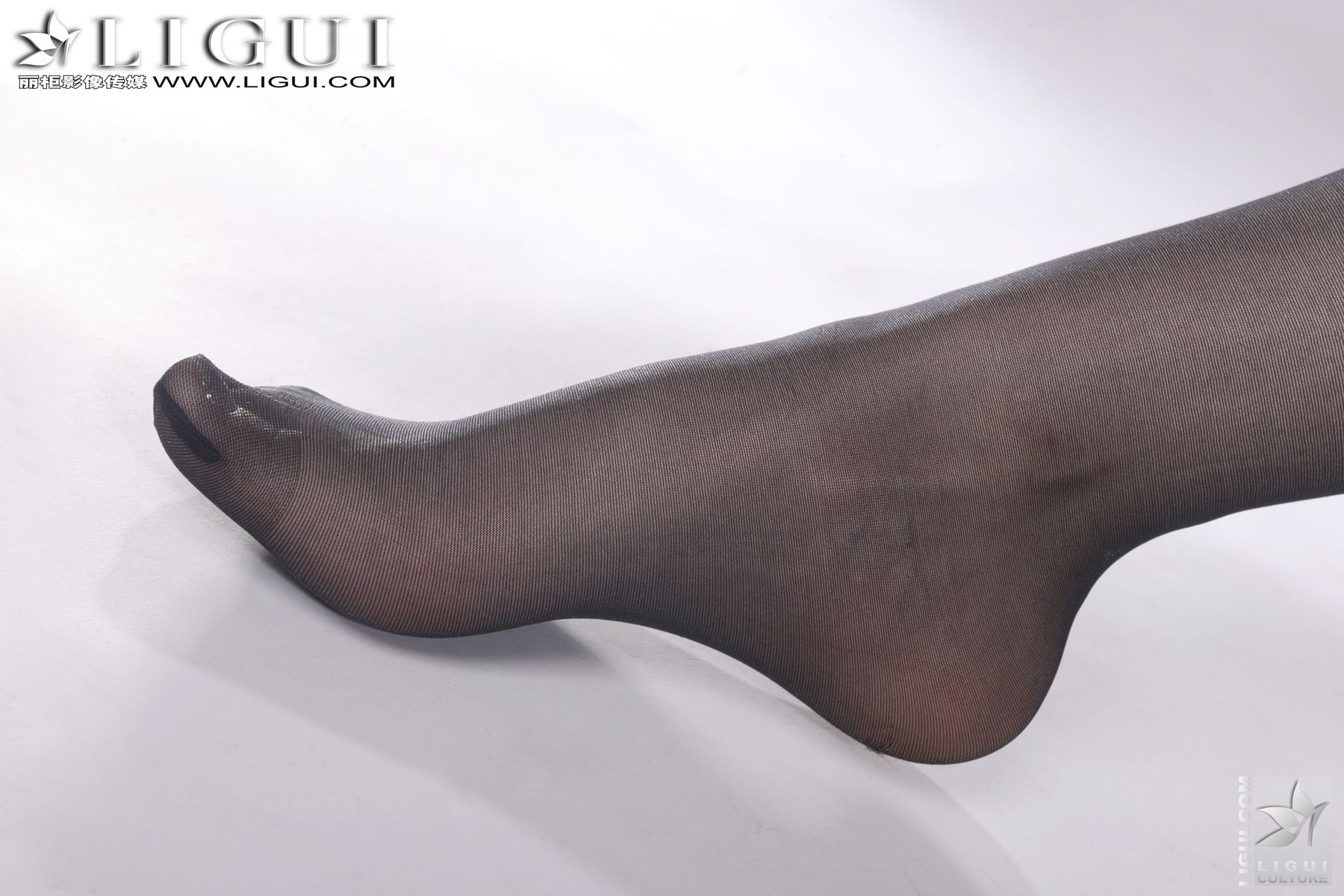 Model Vicky《豹纹黑丝的诱惑》 [丽柜LiGui] 美腿玉足写真图片