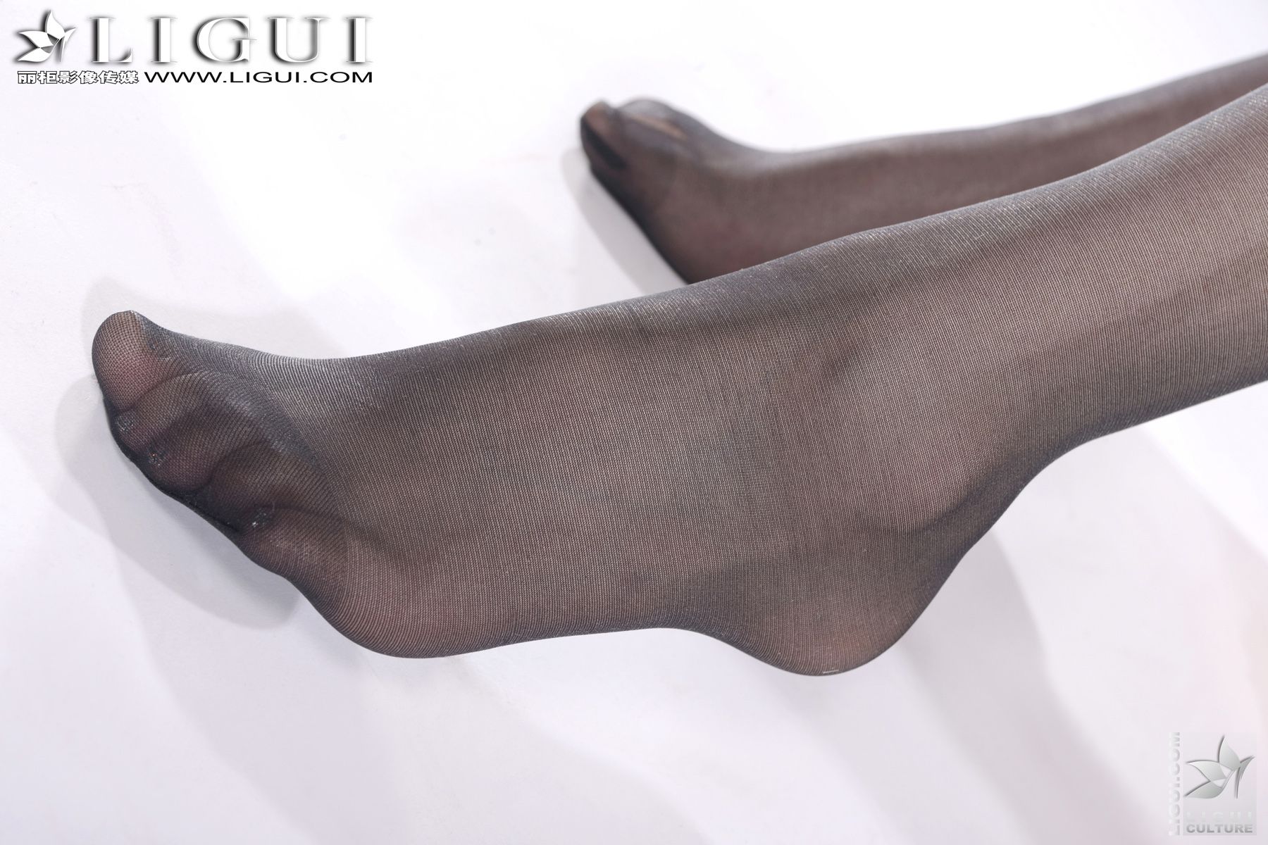 Model Vicky《豹纹黑丝的诱惑》 [丽柜LiGui] 美腿玉足写真图片