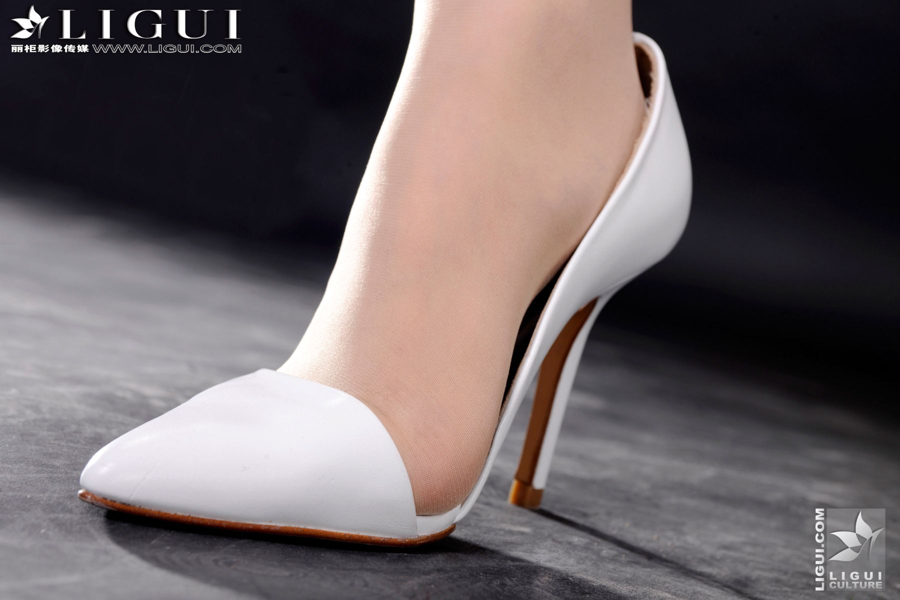 Model 雪儿《白领丽人的诱惑》 上下合集 [丽柜LiGui] 美腿玉足写真图片