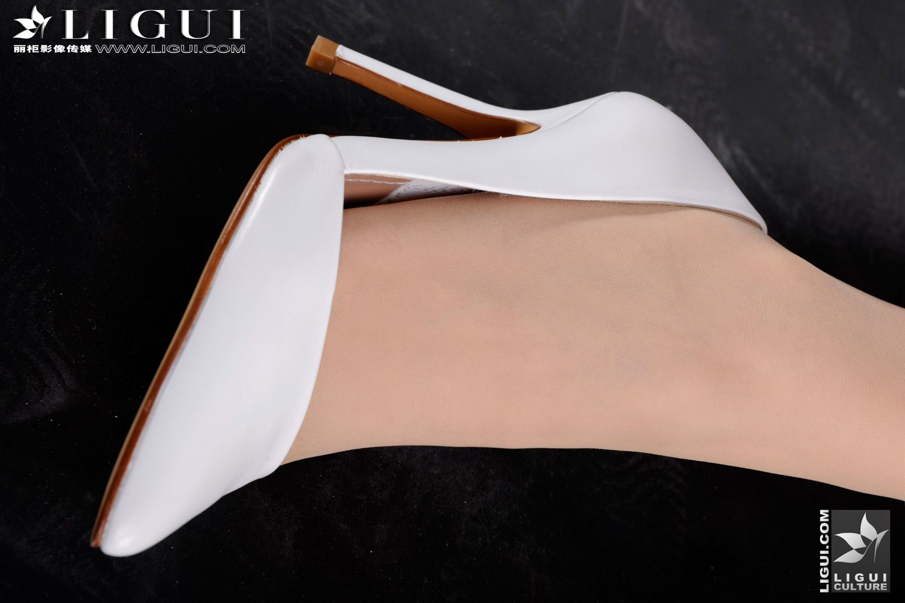 Model 雪儿《白领丽人的诱惑》 上下合集 [丽柜LiGui] 美腿玉足写真图片