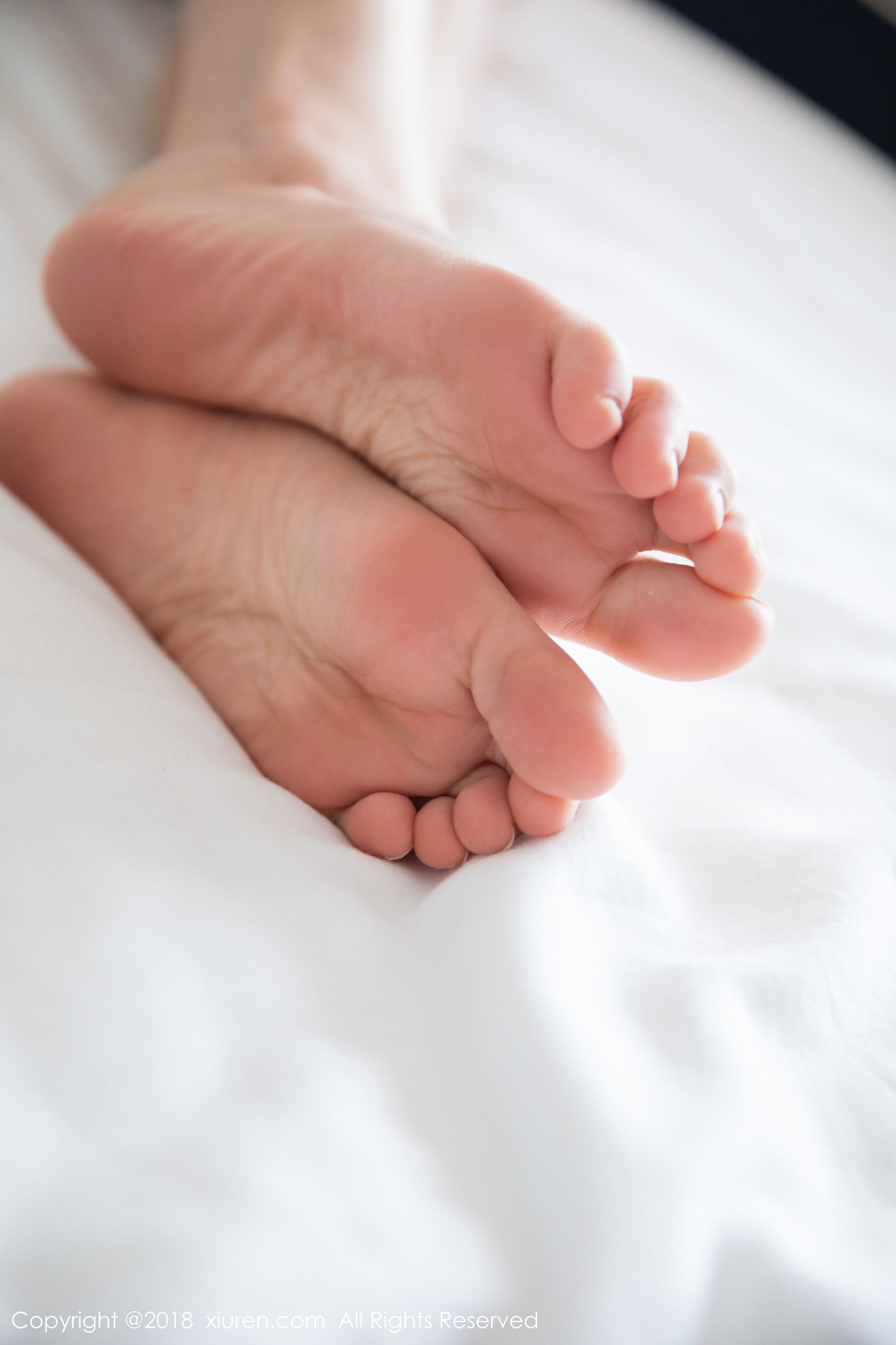 杨晨晨sugar《性感蕾丝私房》 [秀人XIUREN] No.1134 写真集