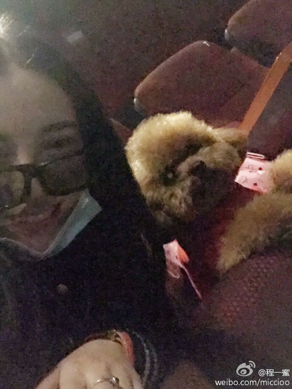 内地嫩模程一蜜肥臀巨乳海量微博性感写真500P