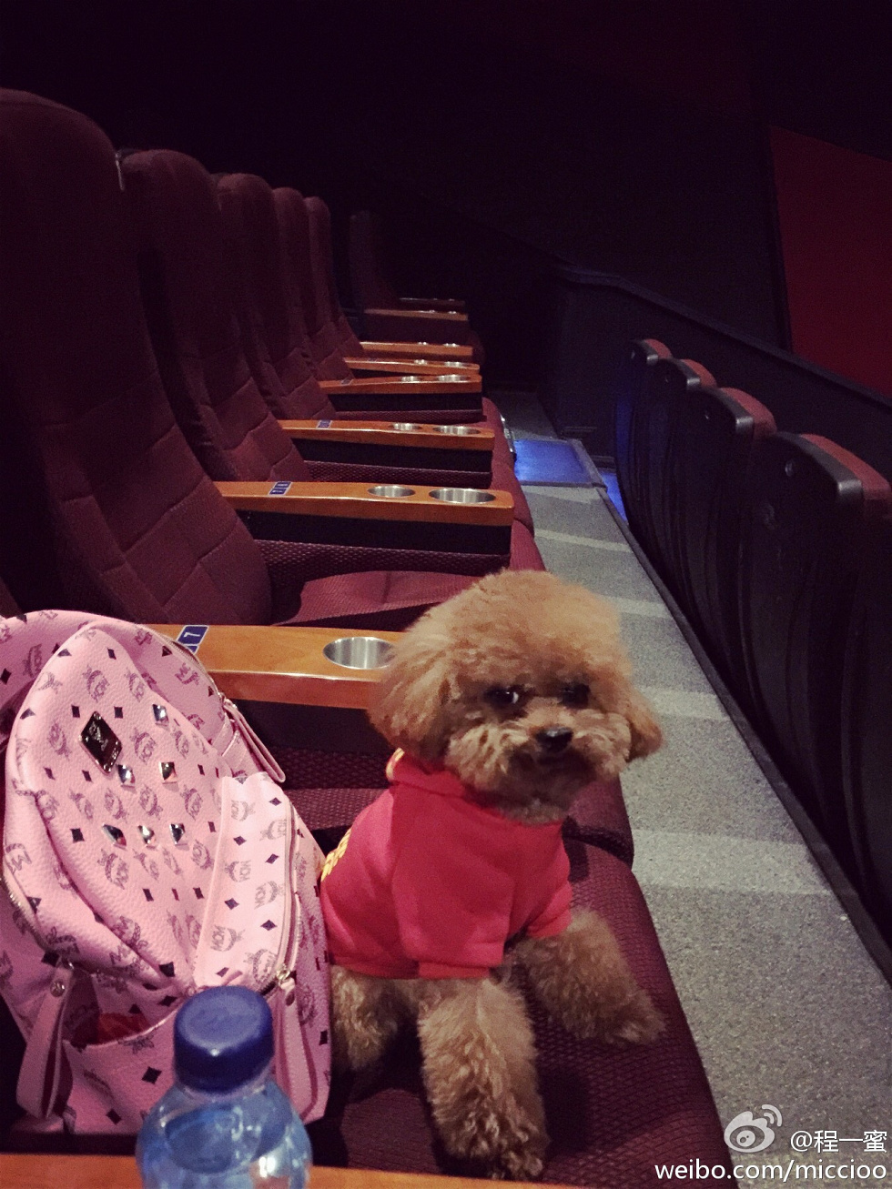 内地嫩模程一蜜肥臀巨乳海量微博性感写真500P