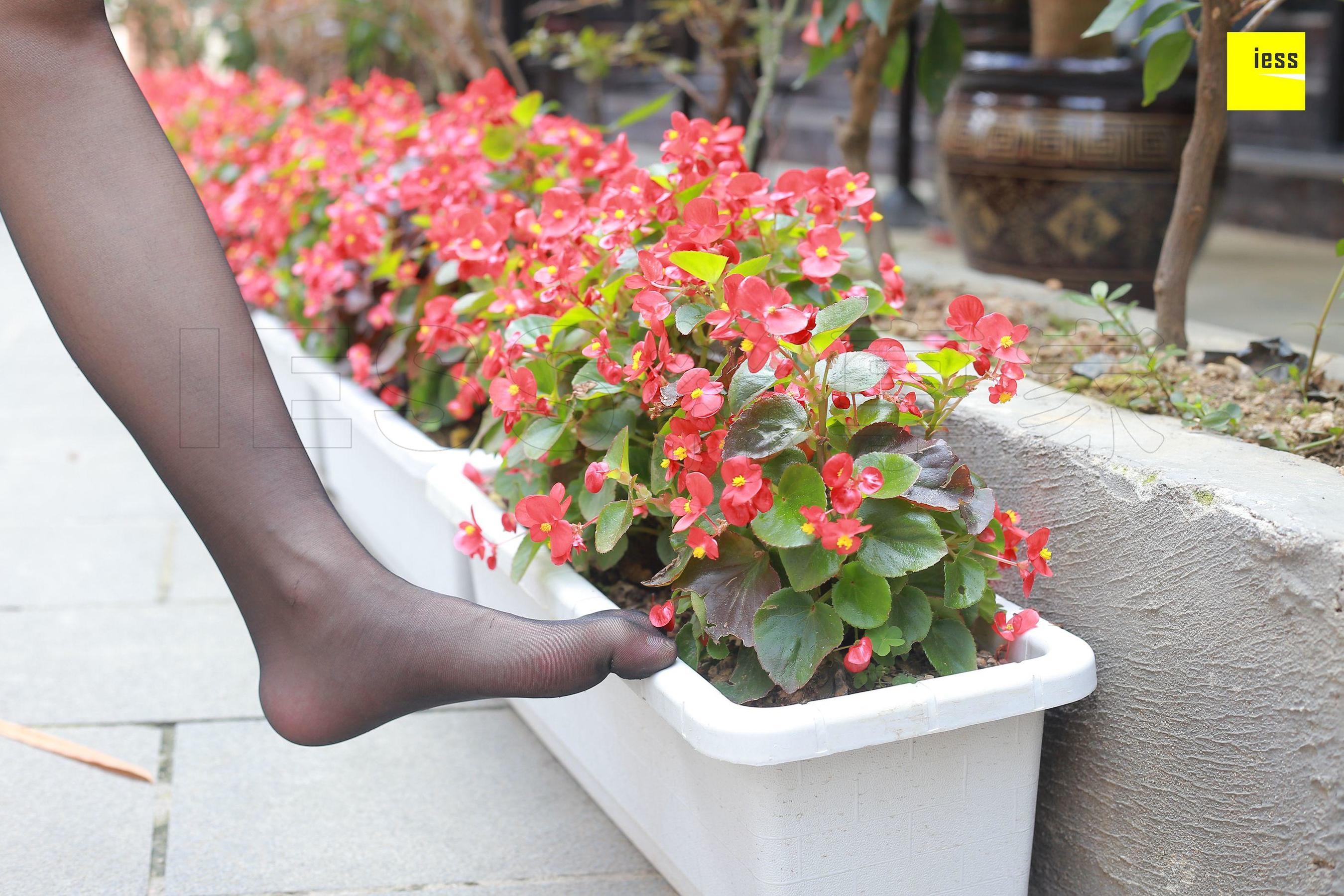 木木《酒窝美女的黑丝》 [异思趣向IESS] 丝享家204 写真集