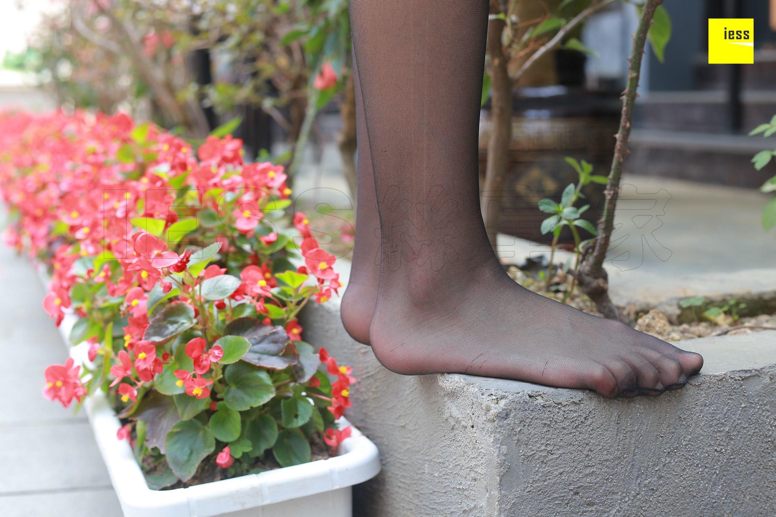 木木《酒窝美女的黑丝》 [异思趣向IESS] 丝享家204 写真集