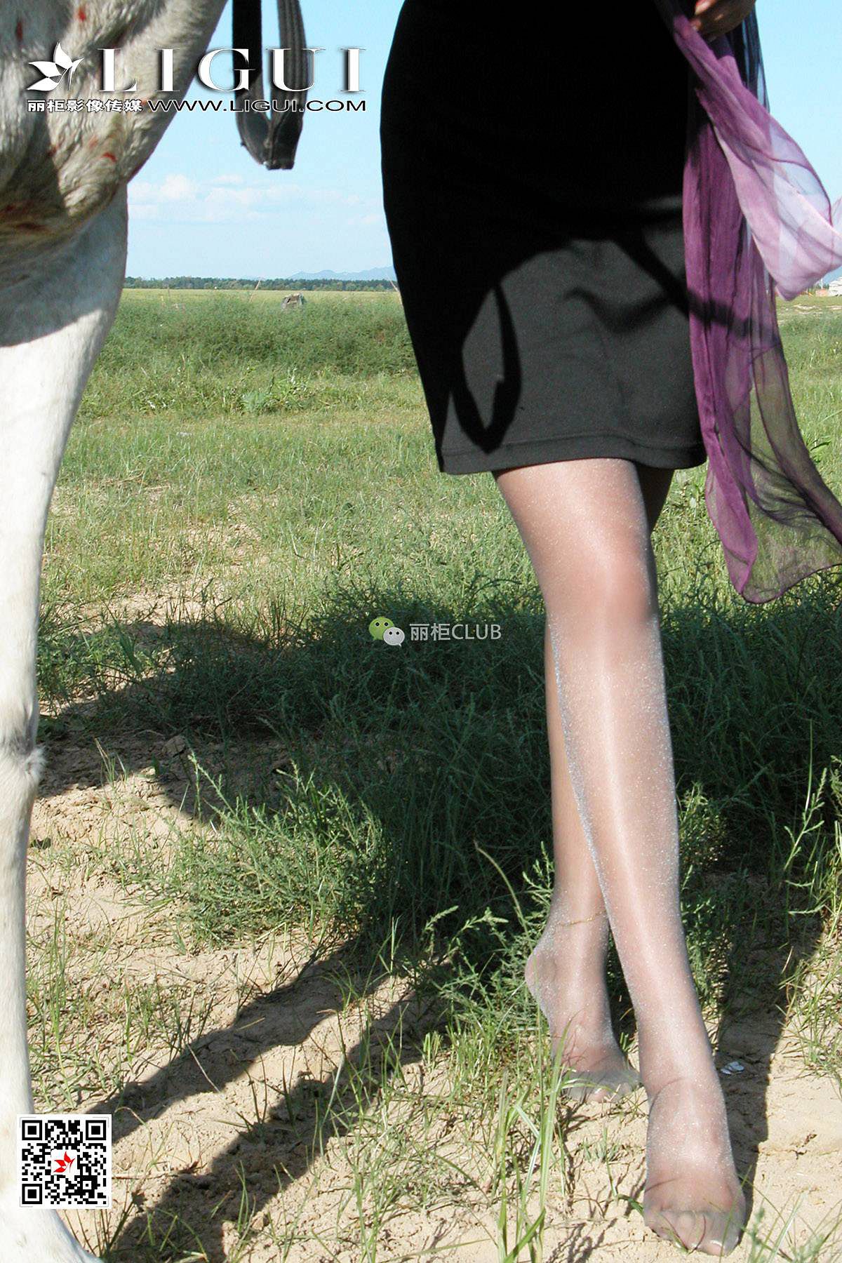 腿模丝高《白马女郎美丝》 [丽柜LIGUI] 美腿丝足 写真集