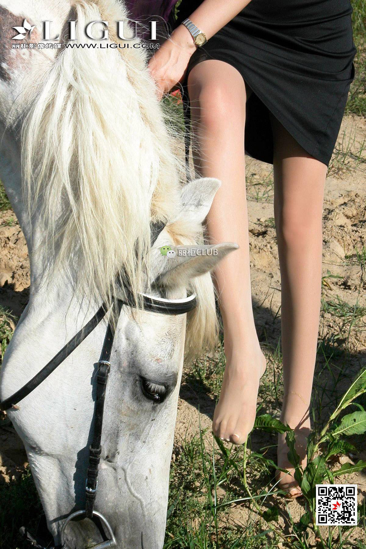 腿模丝高《白马女郎美丝》 [丽柜LIGUI] 美腿丝足 写真集
