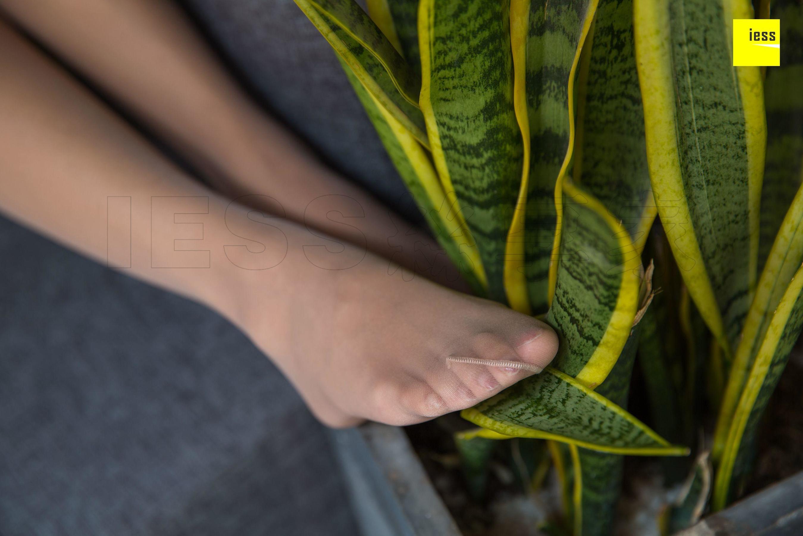 婉萍 《婉萍小仙女肉丝》 [异思趣向IESS] 丝享家265 写真集