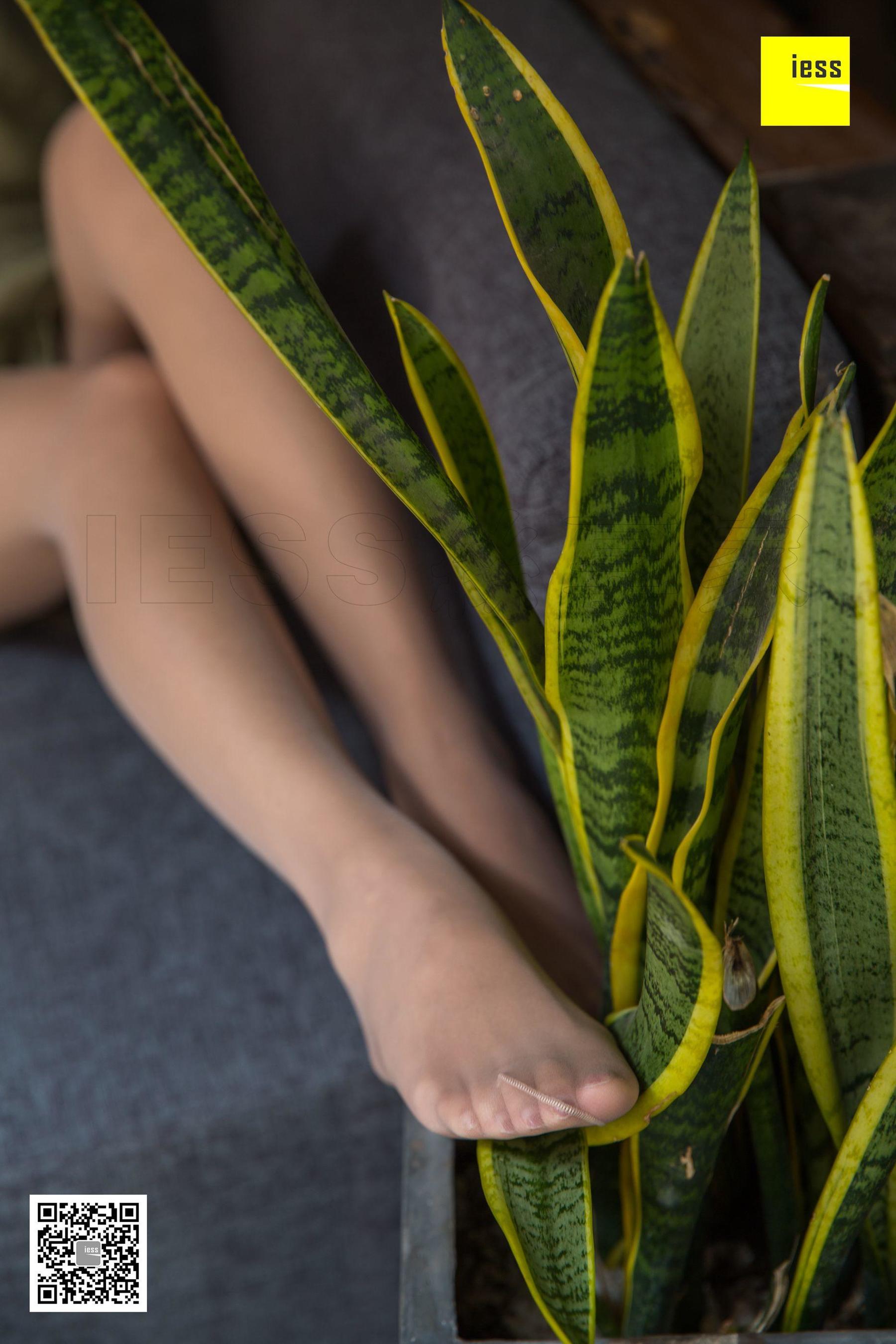 婉萍 《婉萍小仙女肉丝》 [异思趣向IESS] 丝享家265 写真集