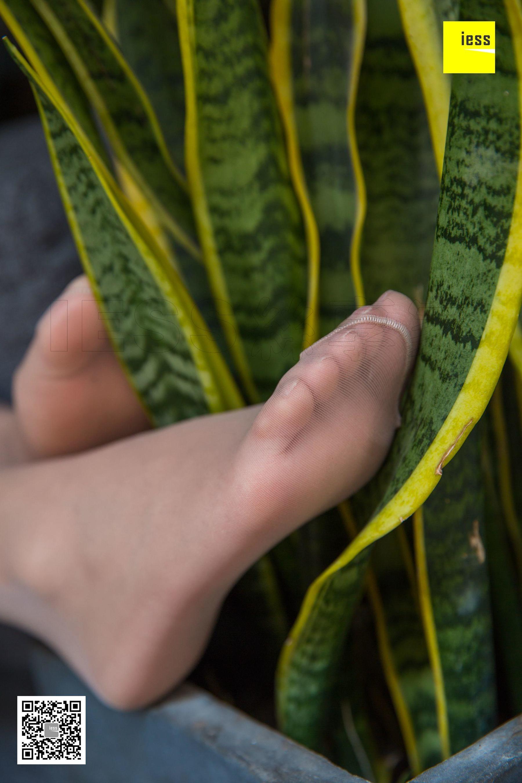 婉萍 《婉萍小仙女肉丝》 [异思趣向IESS] 丝享家265 写真集