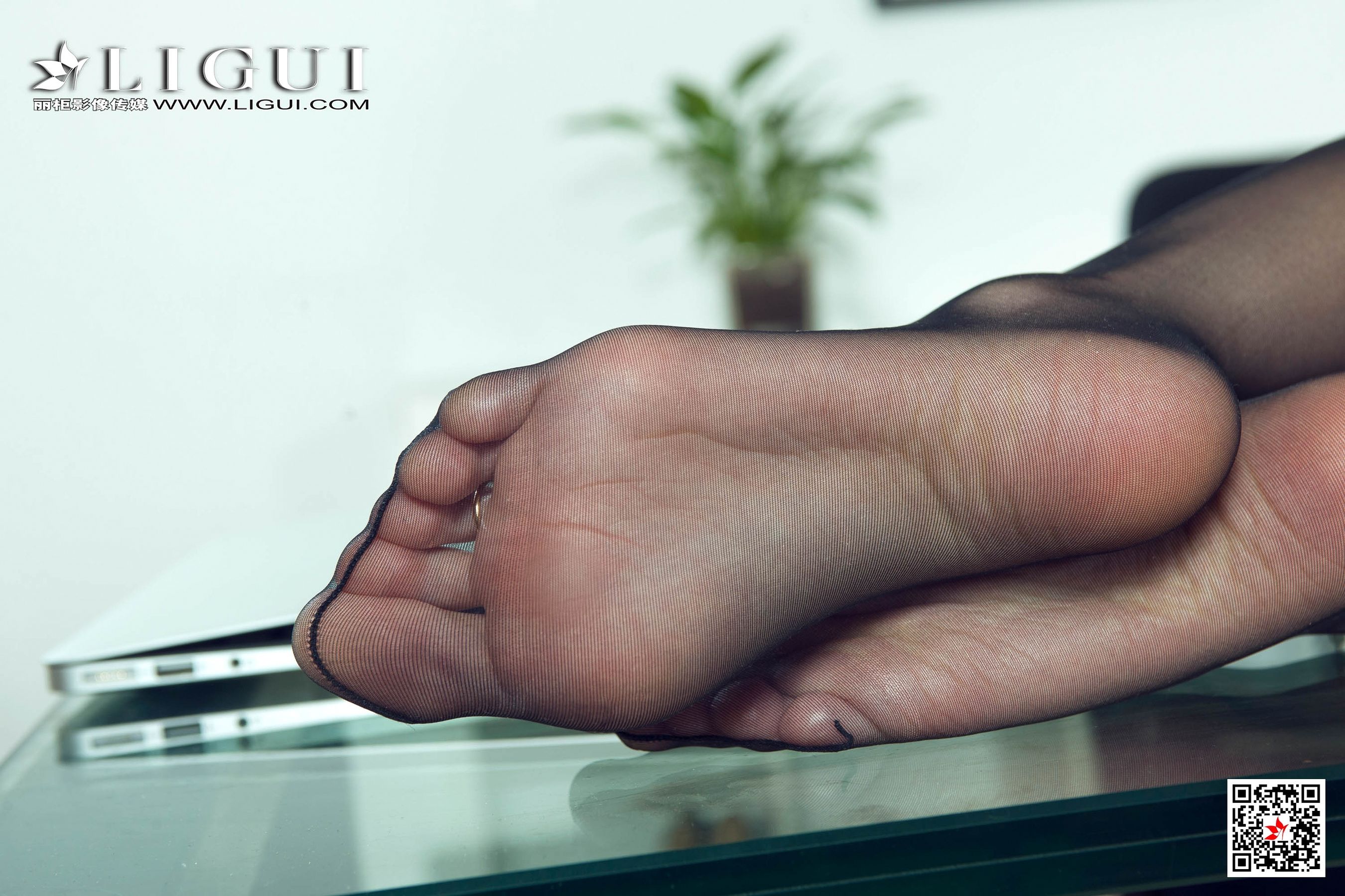 腿模兔子《极品黑丝OL御姐》 [丽柜Ligui] 网络丽人 写真集