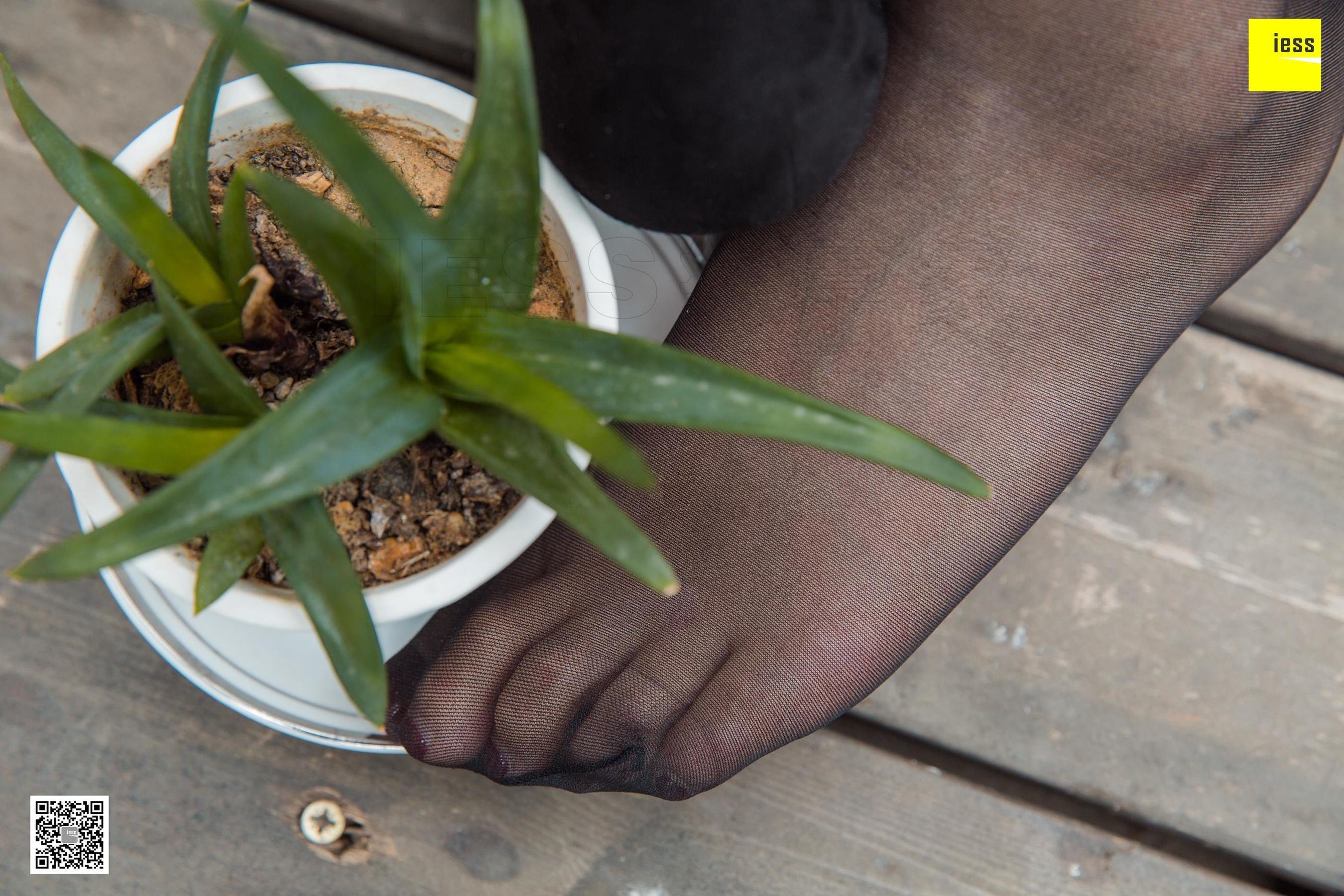 模特九妹 《小白领九妹发发呆》[异思趣向IESS] 黑丝美脚写真集