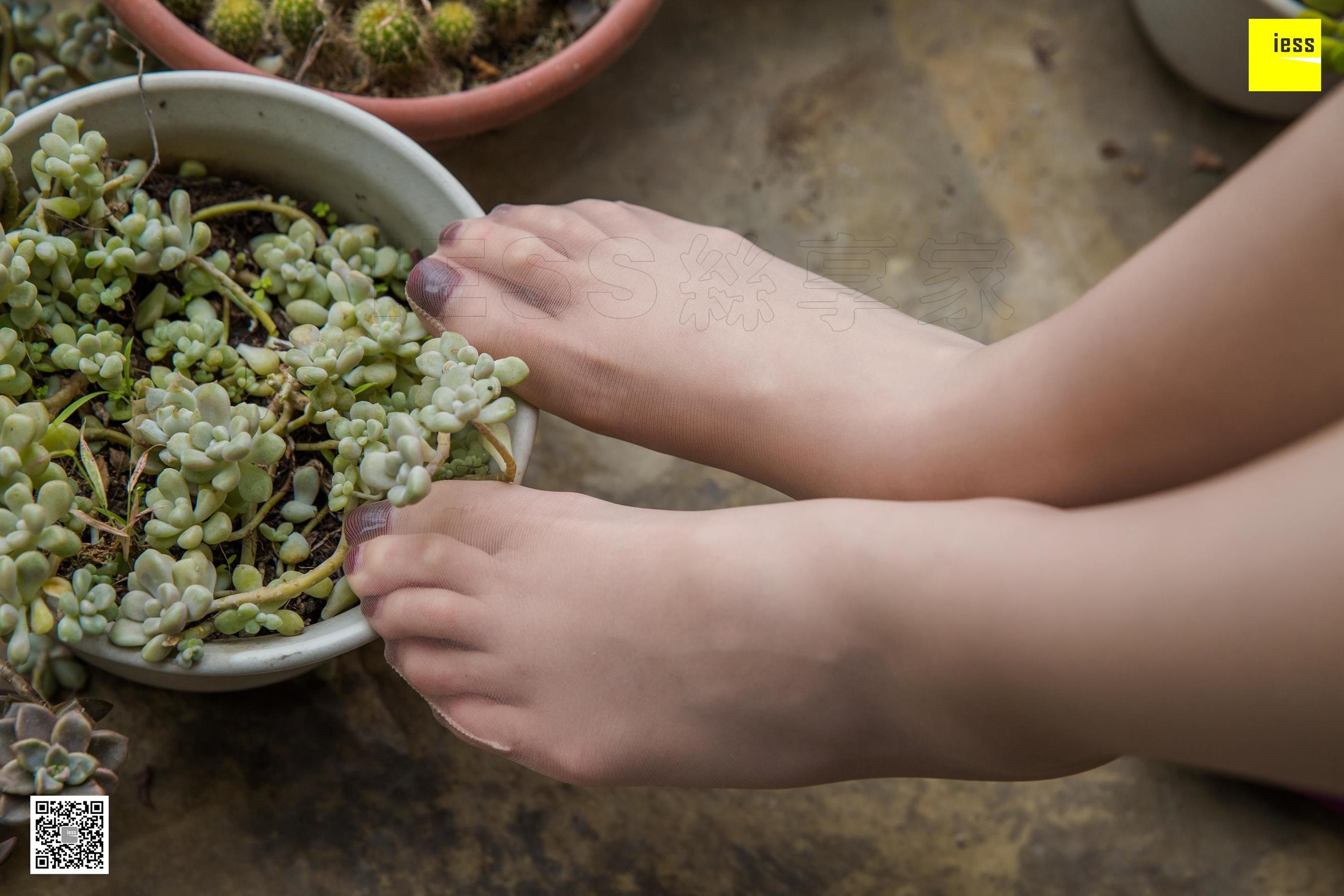 模特九妹 《九妹的粉色旗袍》 [异思趣向IESS] 丝足美腿 写真集