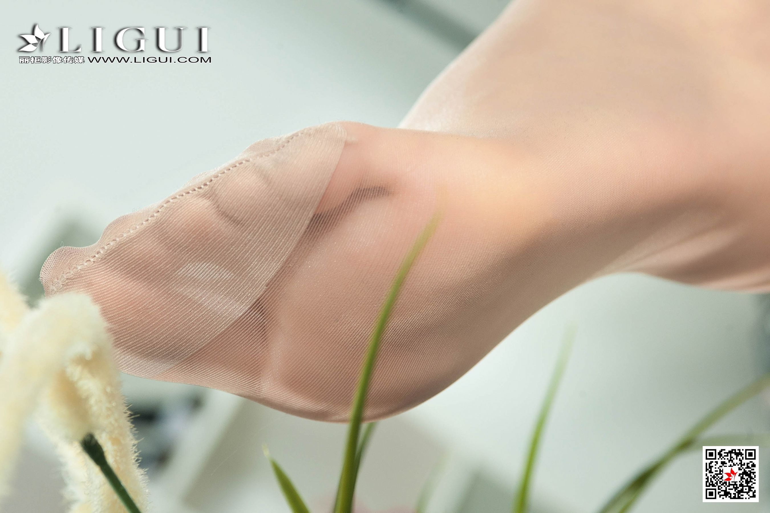 腿模若溪《肉丝袜OL丝足》 [丽柜Ligui] 写真集