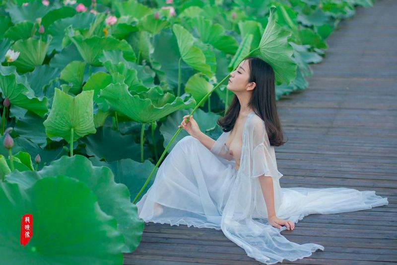 推特福利收集无圣光套图