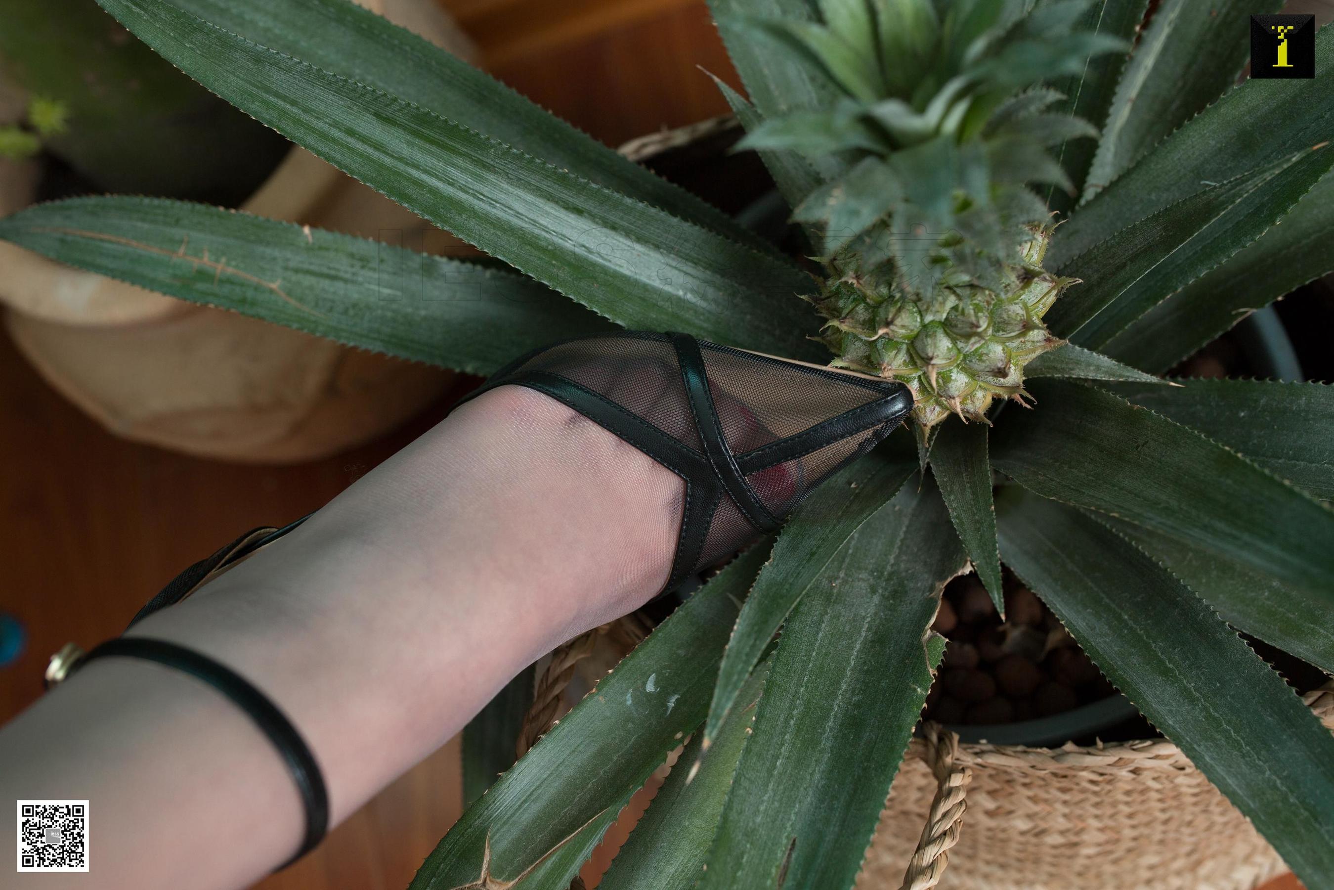 腿模云芝 《云芝也可以小清新》 [异思趣向IESS] 写真集