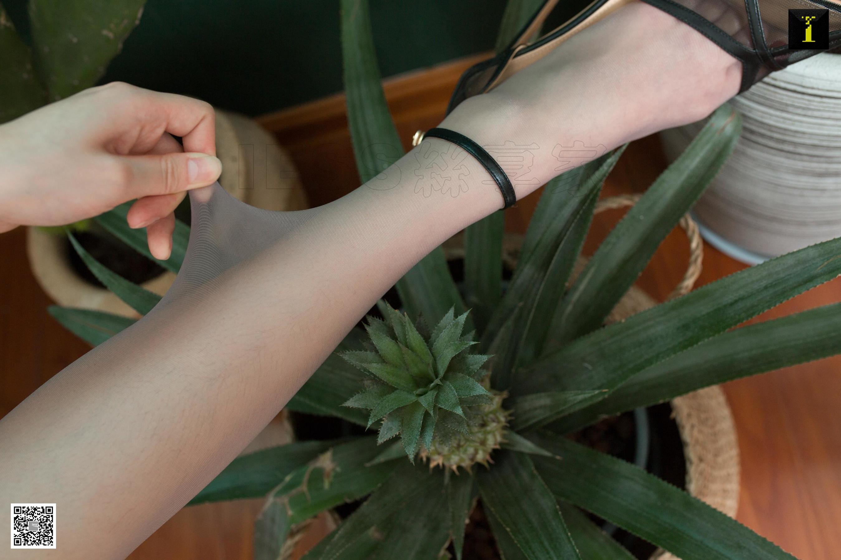 腿模云芝 《云芝也可以小清新》 [异思趣向IESS] 写真集