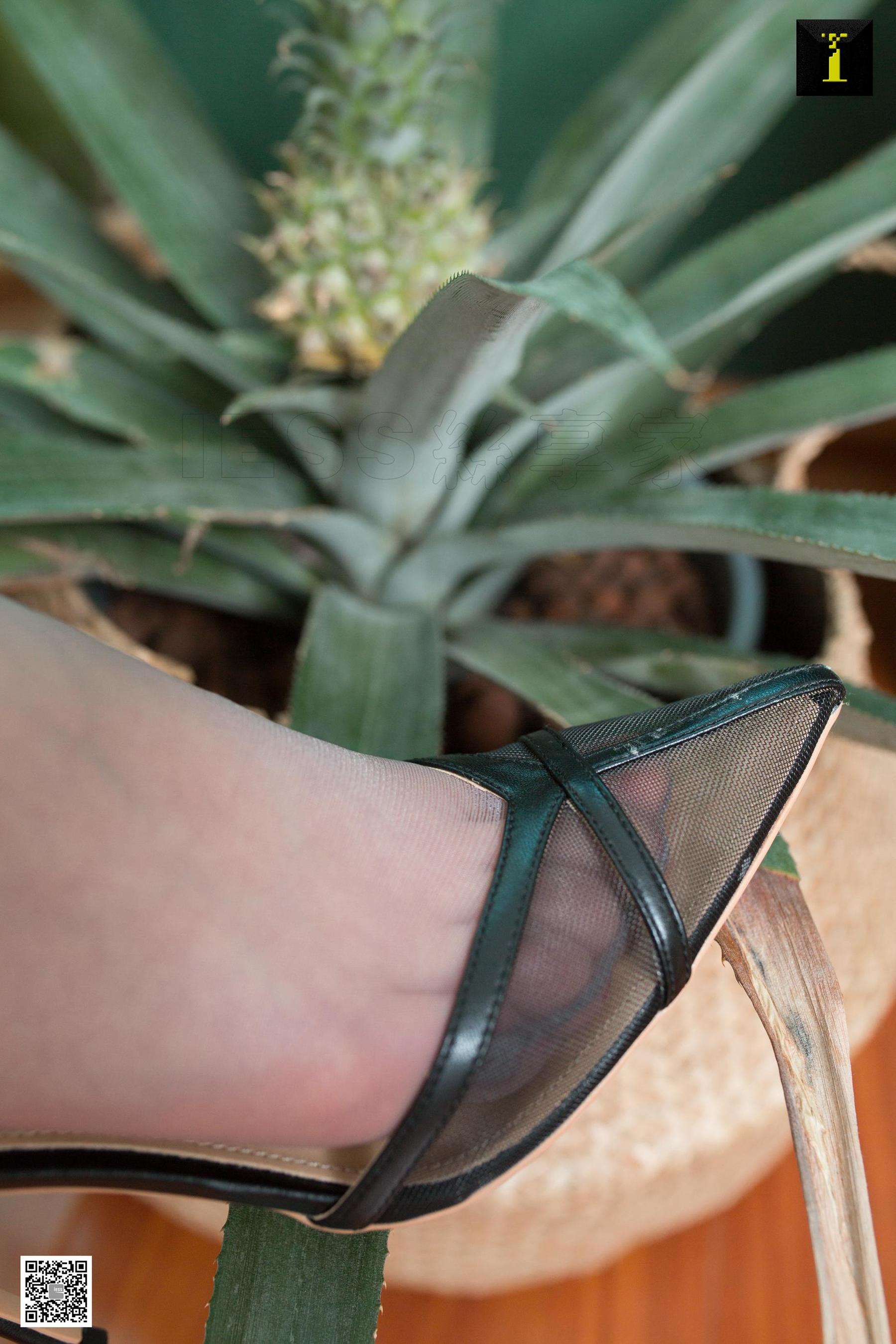 腿模云芝 《云芝也可以小清新》 [异思趣向IESS] 写真集