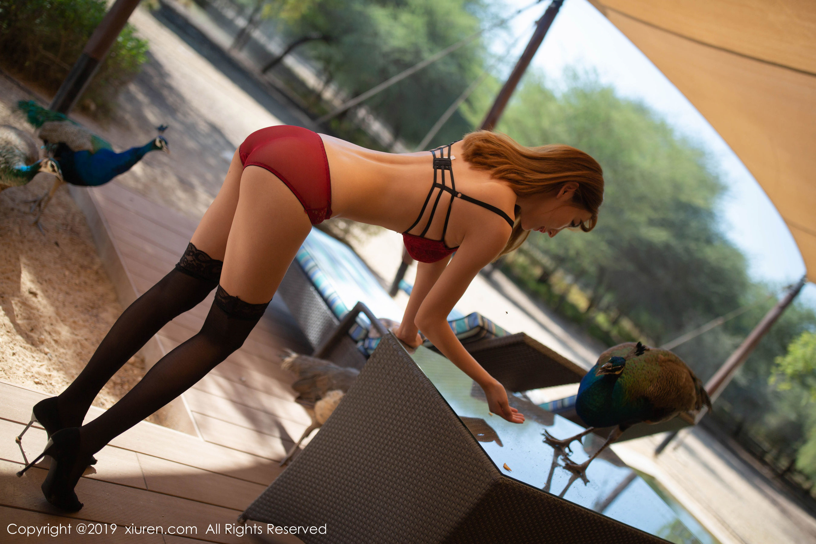 陆萱萱《孔雀饲养员主题》 [秀人XIUREN] No.1826 写真集