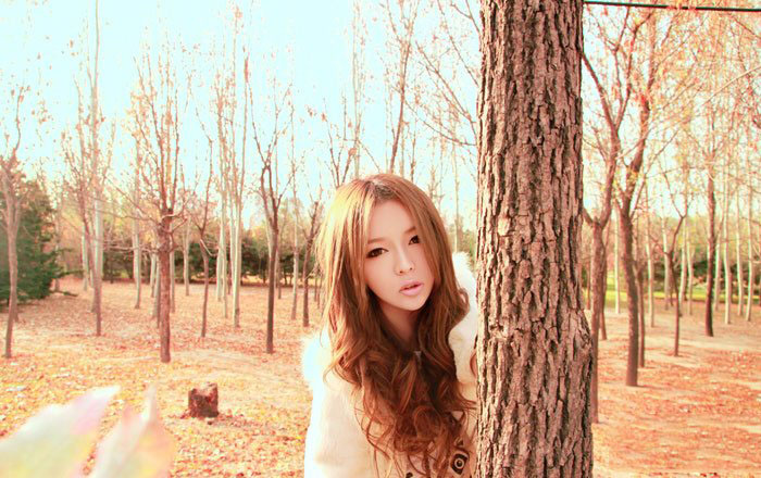 氧气女生裴紫绮的银杏树情怀