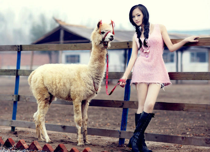 showgirl美女邓天晴清纯唯美写真