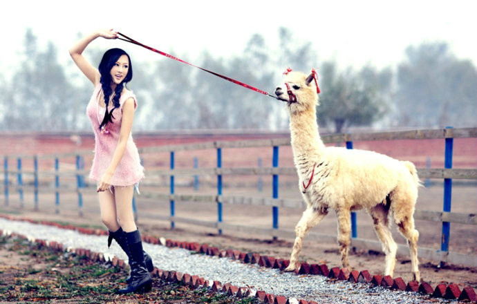 showgirl美女邓天晴清纯唯美写真