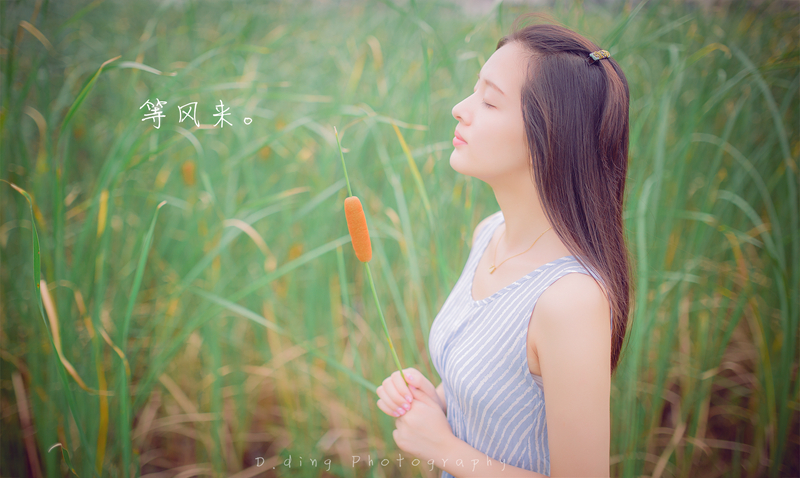 听风者野外唯美写真