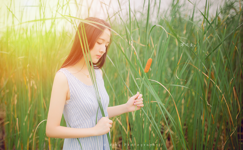 听风者野外唯美写真