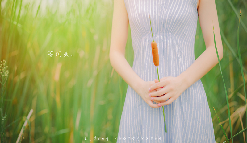 听风者野外唯美写真