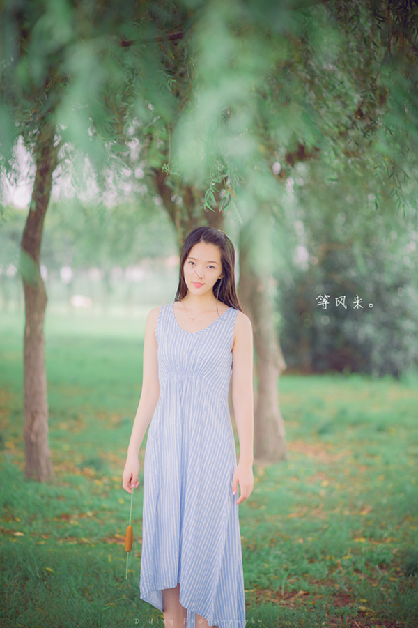 听风者野外唯美写真