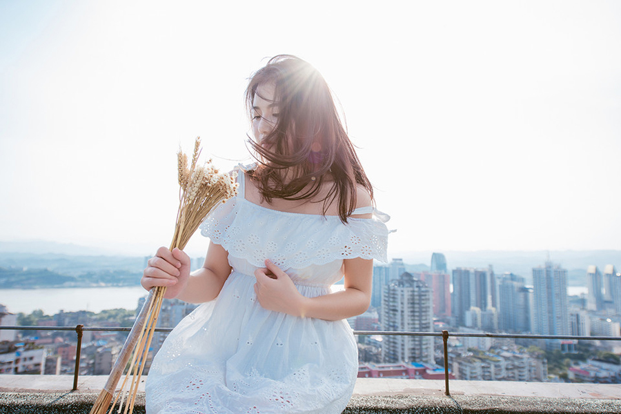 雏菊—隐藏在心中的爱