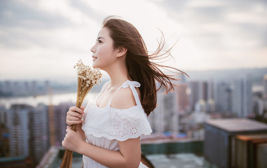 雏菊—隐藏在心中的爱