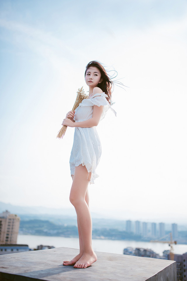 雏菊—隐藏在心中的爱