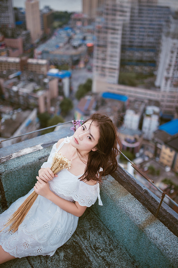 雏菊—隐藏在心中的爱