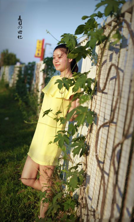 夏日里那些美好的回忆