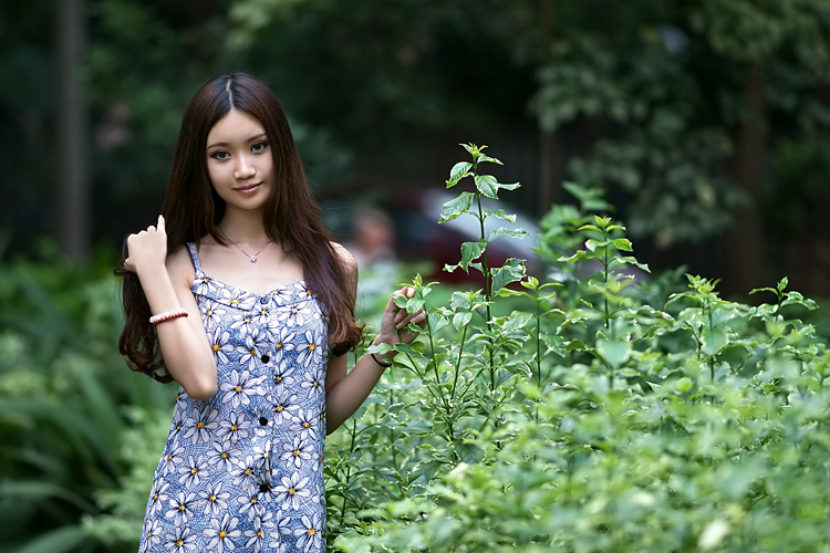 徘徊在路间的你美艳如花