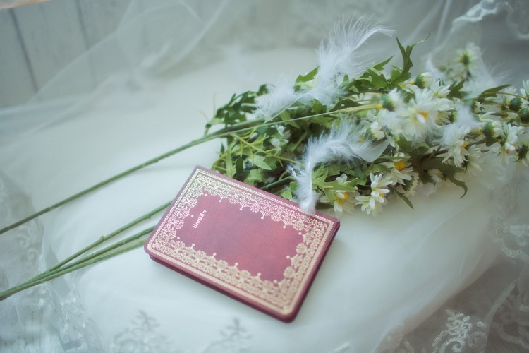 你的美丽却透出淡淡的忧伤