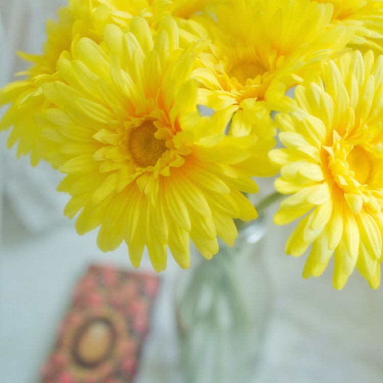 你的美丽却透出淡淡的忧伤