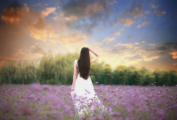 清纯少女普罗旺斯的梦