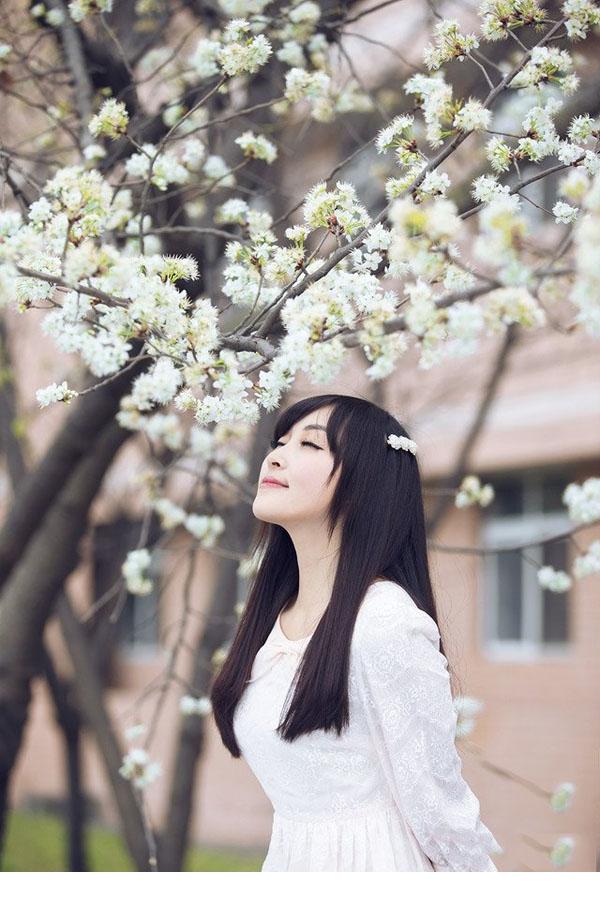 小清新漫天花瓣飘舞时