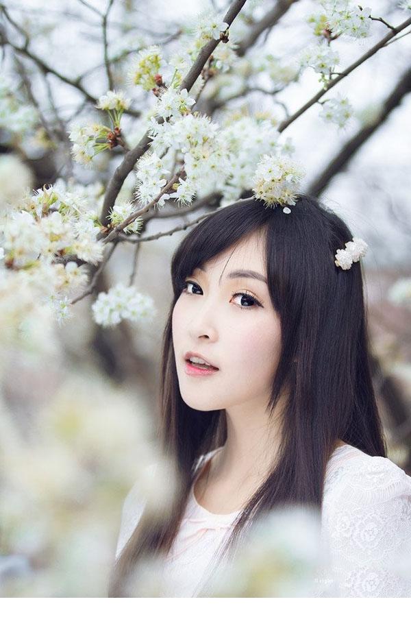 小清新漫天花瓣飘舞时