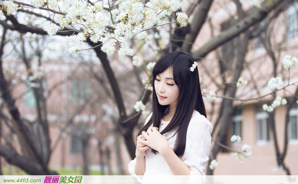 小清新漫天花瓣飘舞时