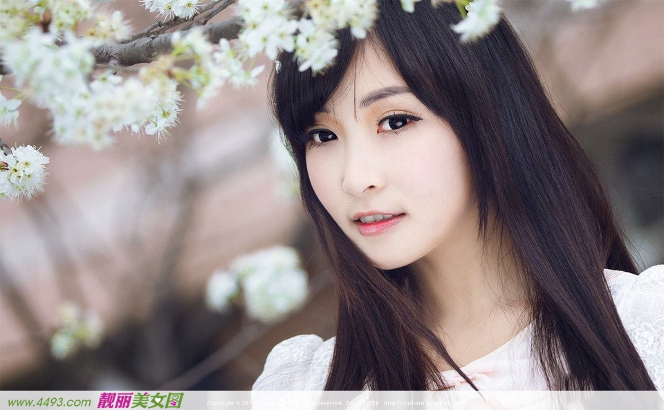 小清新漫天花瓣飘舞时