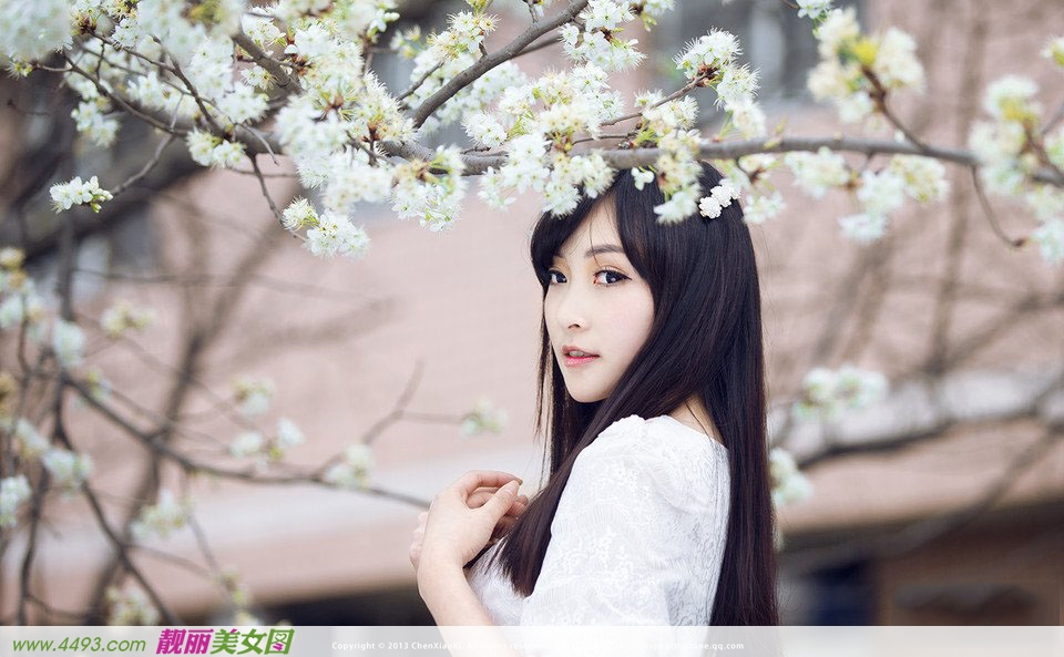 小清新漫天花瓣飘舞时