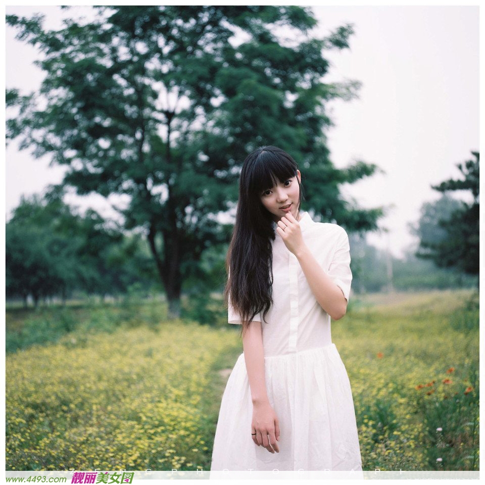 小清新淡雅清香纯白色